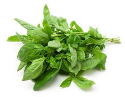 Classic Italian Fresh Basil 200g